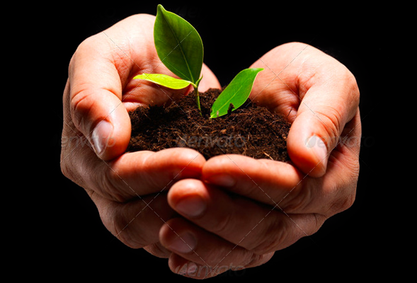 点卡批发市场的短信轰炸器